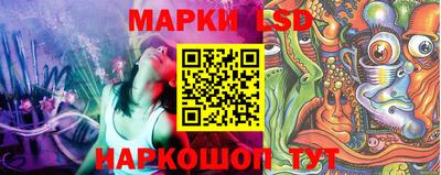 гидропоника Кинель