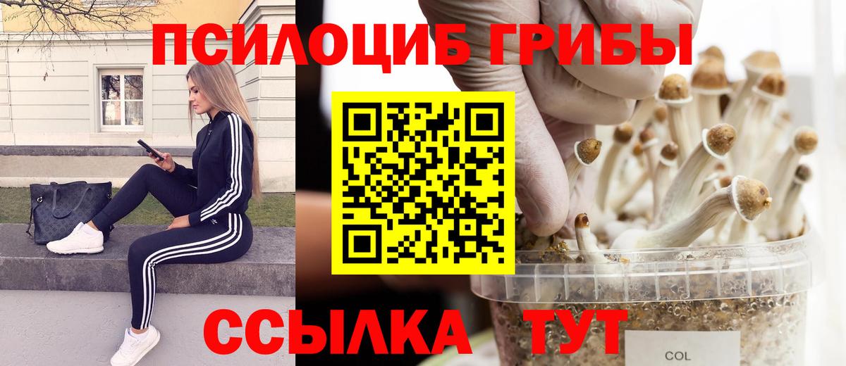 Псилоцибиновые грибы Magic Shrooms  Псилоцибиновые грибы мухоморы  Вход с VPN  Кострома 