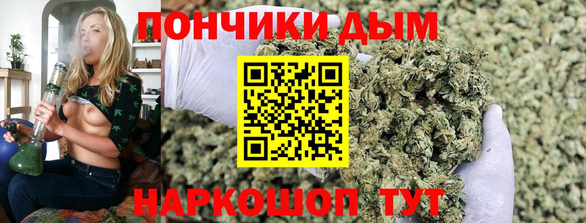 Шишки марихуана планчик  Бошки Шишки тримм  Шишки марихуана Ganja  Вход с VPN  Бошки Шишки конопля  Кострома 
